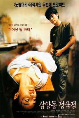 Poster Butcher's Wife 1999