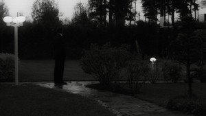 Milk Grass 10