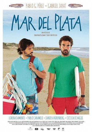 Poster Mar del plata (2013)