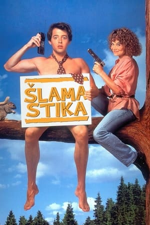 Poster Šlamastika 1992