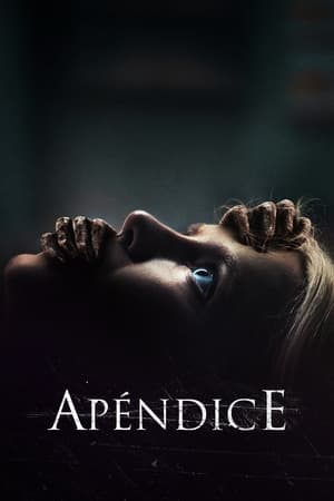 Apéndice (2023)