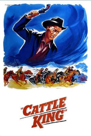 Poster Les Ranchers du Wyoming 1963