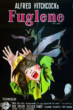 Poster Fuglene 1963