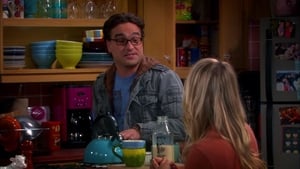 The Big Bang Theory 6 x Episodio 8