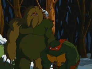 Teenage Mutant Ninja Turtles: 1×20