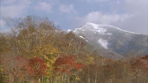 Wild Hokkaido! Niseko Mountain Range in Autumn