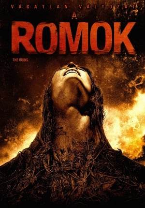 A romok (2008)