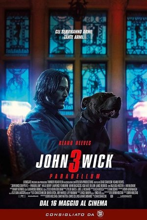 poster John Wick: Chapter 3 - Parabellum