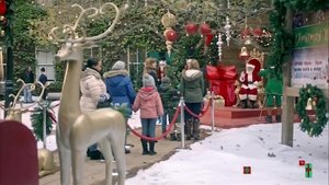 Christmas Next Door