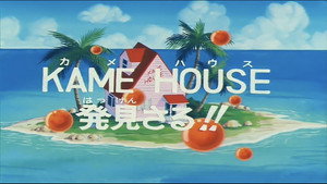 Dragon Ball - Dragon Ball - Saison 1 - Sur une île de Tortue Géniale - image n°1