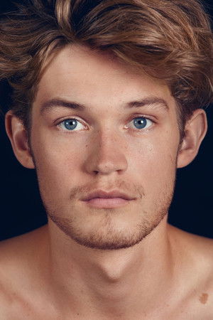 Damian Hardung photo