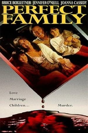 Poster Perfect Family (1992)