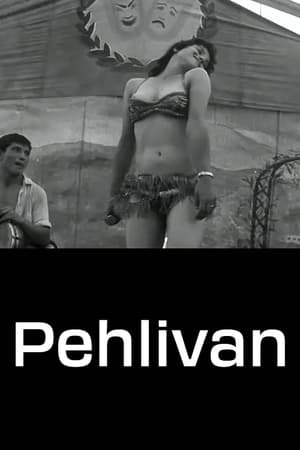 Image Pehlivan