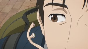 Parasyte -the maxim-: 1×11