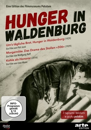 Hunger in Waldenburg poster
