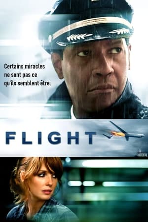 Poster Flight 2012