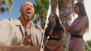 Épisode 11