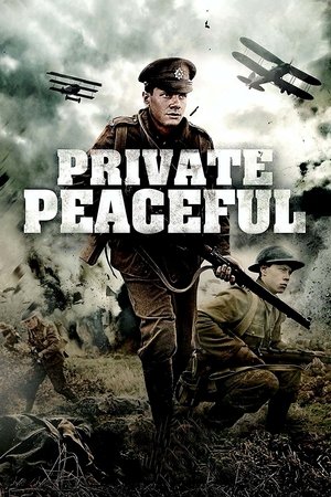 Poster Private Peaceful - Mein Bruder Charlie 2012