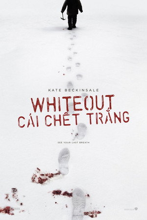 Whiteout 65