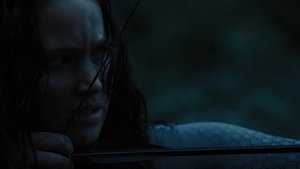 The Hunger Games: Catching Fire (2013)
