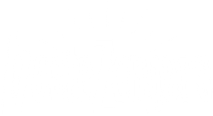 Beste Zangers — Logos 1