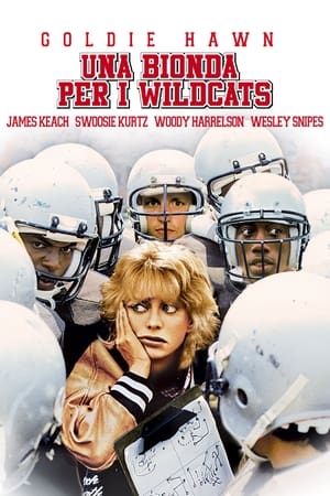 Poster Una bionda per i Wildcats 1986