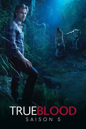 True Blood : de chair et de sang: Saison 5