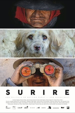 Poster Surire (2015)