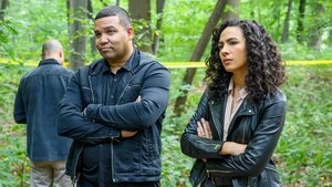 Prodigal Son: season1 x episode6 online