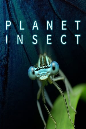 Poster Planet Insect 2022