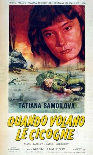 Poster Quando volano le cicogne 1957