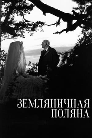 Земляничная поляна 1957