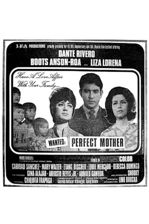 Poster Wanted: Perfect Mother 1970