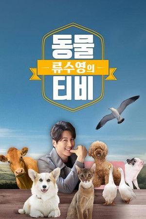 류수영의 동물티비