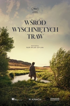 Image Wśród wyschniętych traw
