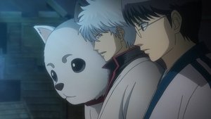 Gintama: 8×2