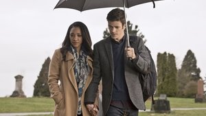 The Flash: 2×21