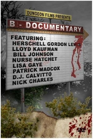 B-Documentary poster
