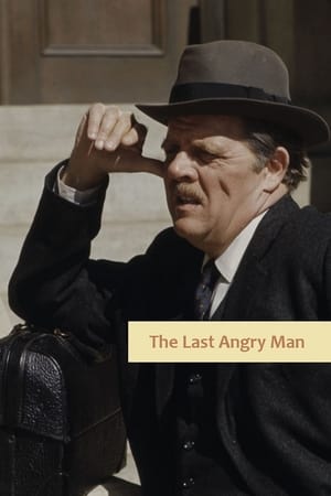 The Last Angry Man film complet