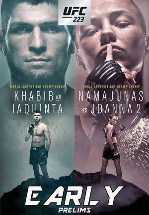 UFC 223: Khabib vs. Iaquinta 8
