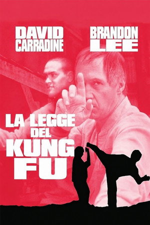 Image La legge del kung fu