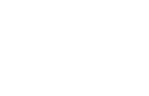 Lost in the Night