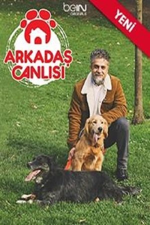 Image Arkadaş Canlısı