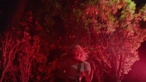 Grafted ( 2024 )