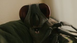 фото  - Смотреть Buzz Off бесплатно онлайн на Lord-Filmy