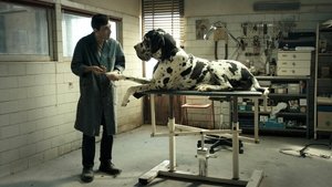 فيلم Dogman 2018 مترجم اون لاين