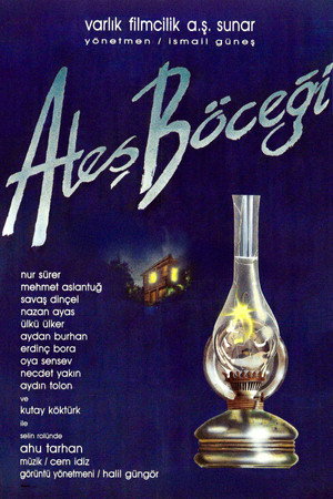 Ateş Böceği 5