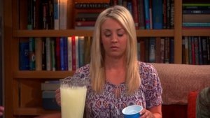 The Big Bang Theory Season 6 Episode 23