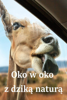 Oko w oko z dziką naturą