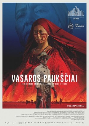 Vasaros Paukščiai